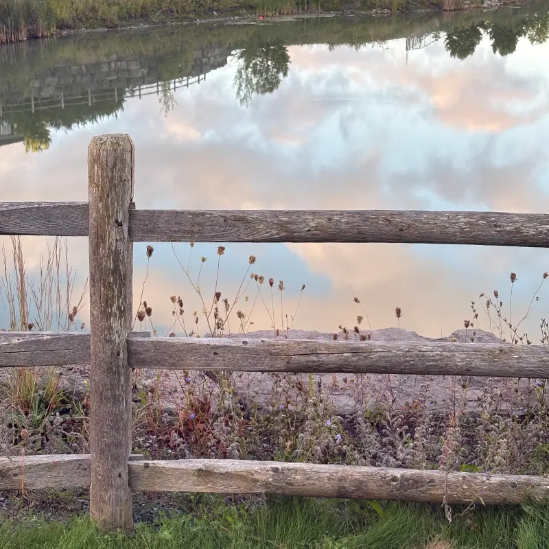 A weathered split-rail cedar fence along the bank of a still pond at dawn, the water reflecting a pale pink and blue sky, with a low cut-stone wall and evergreens on the far shore and dried seedheads growing up through the rails