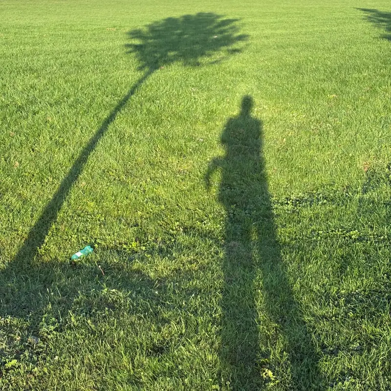The photographer's long shadow stretched across sunlit mown grass in low morning sun, one arm raised, with the shadow of a slender young tree beside it and a discarded teal plastic bottle lying in the grass