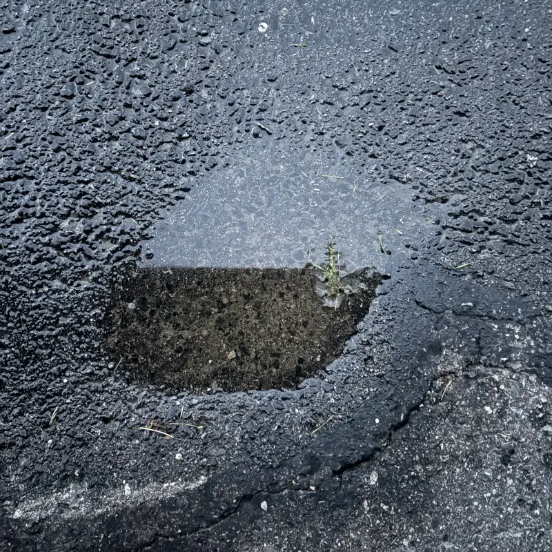 Rain-beaded asphalt seen from directly above, with a shallow pothole worn through to the darker aggregate beneath and a thin weed growing out of its edge